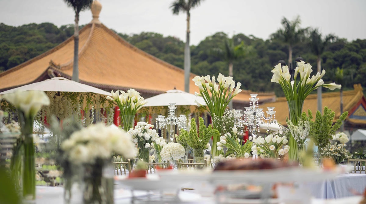 10_lofulymgip.jpg 10_lofulymgip.jpg