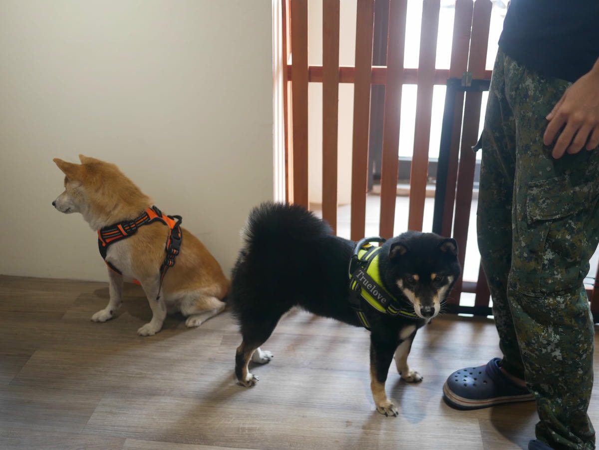 P1480698.JPG P1480698.JPG