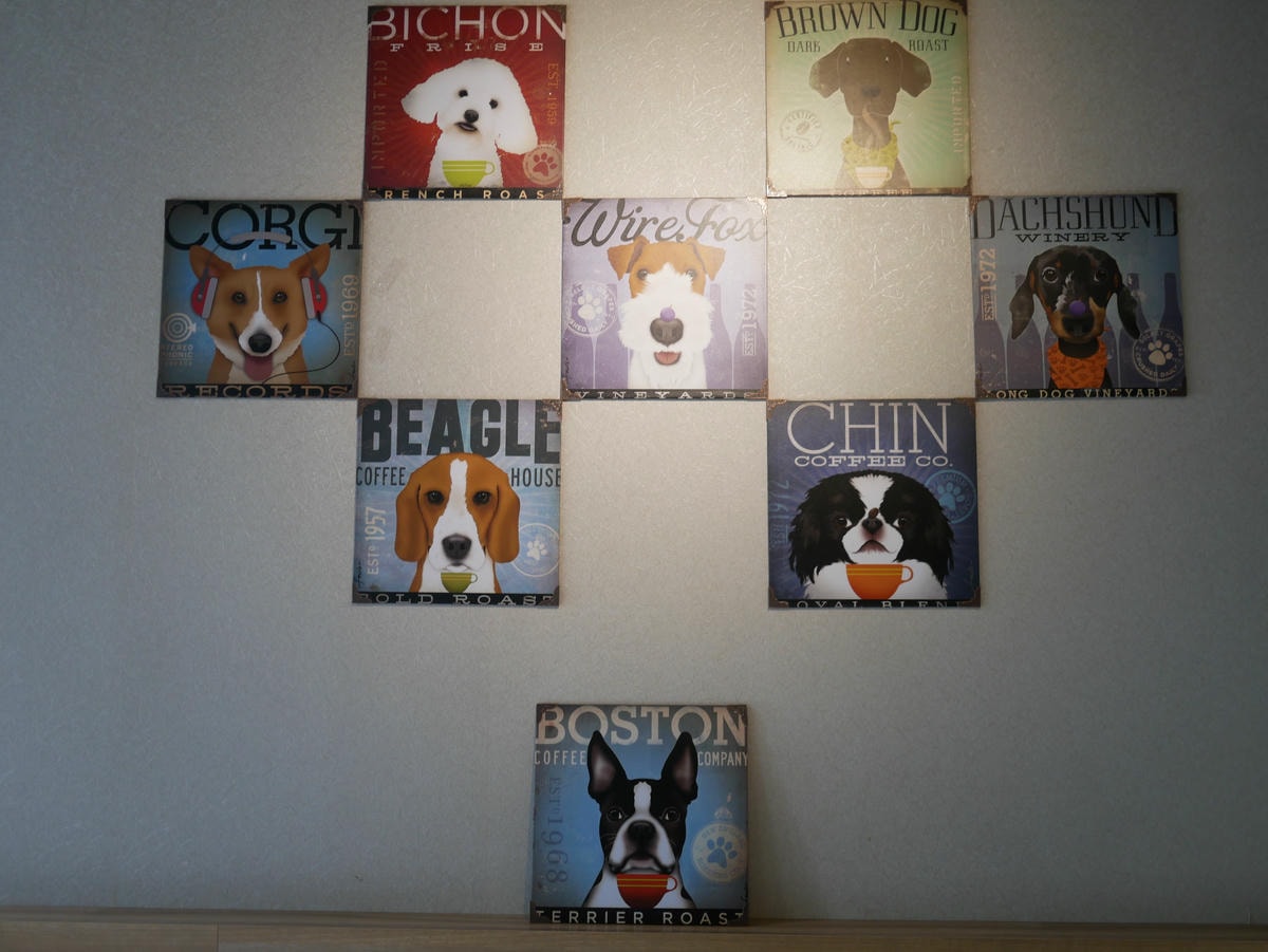 P1480720.JPG P1480720.JPG