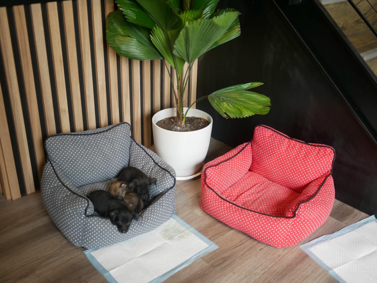 P1480683.JPG P1480683.JPG