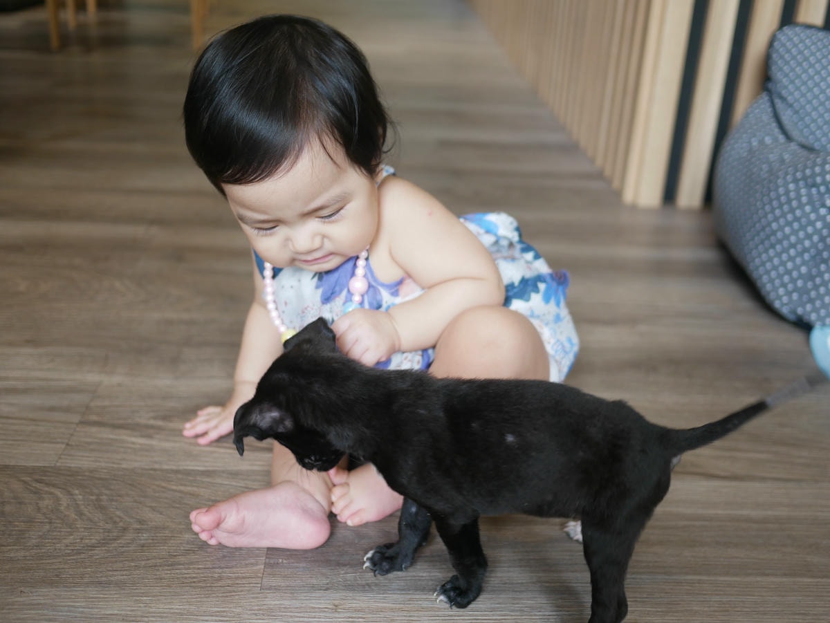 P1480668.JPG P1480668.JPG