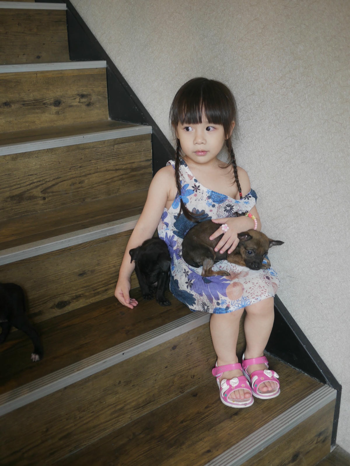 P1480780.JPG P1480780.JPG