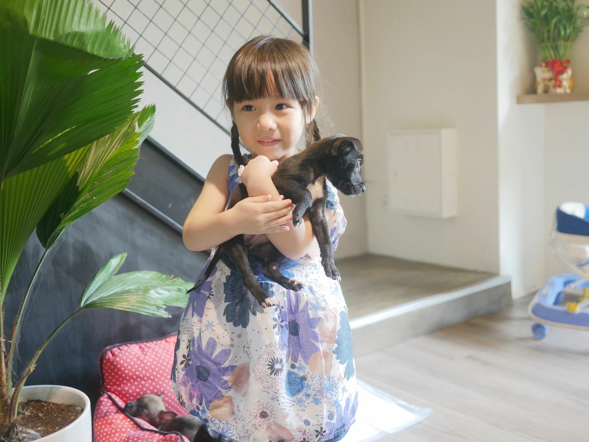 P1480755.JPG P1480755.JPG