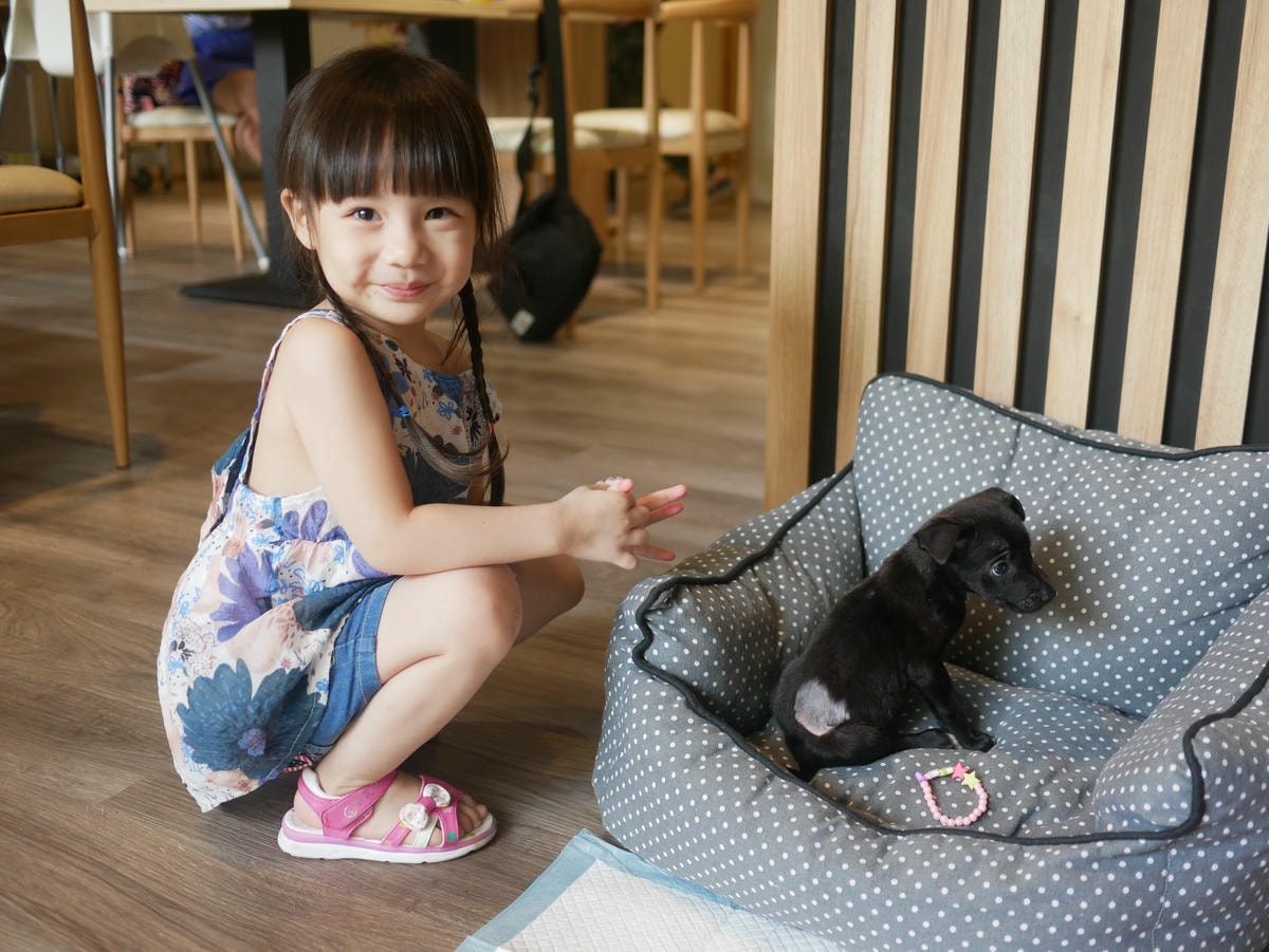 P1480742.JPG P1480742.JPG