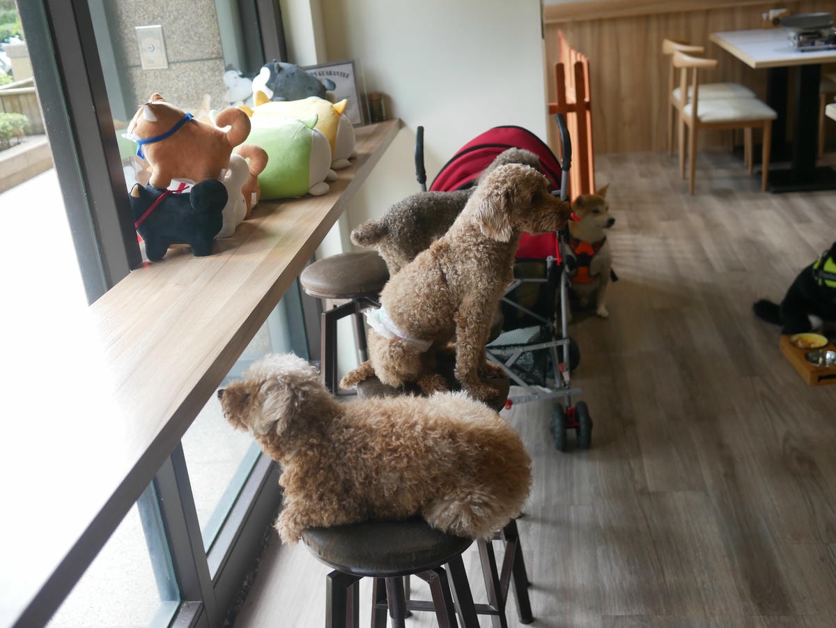 P1480721.JPG P1480721.JPG