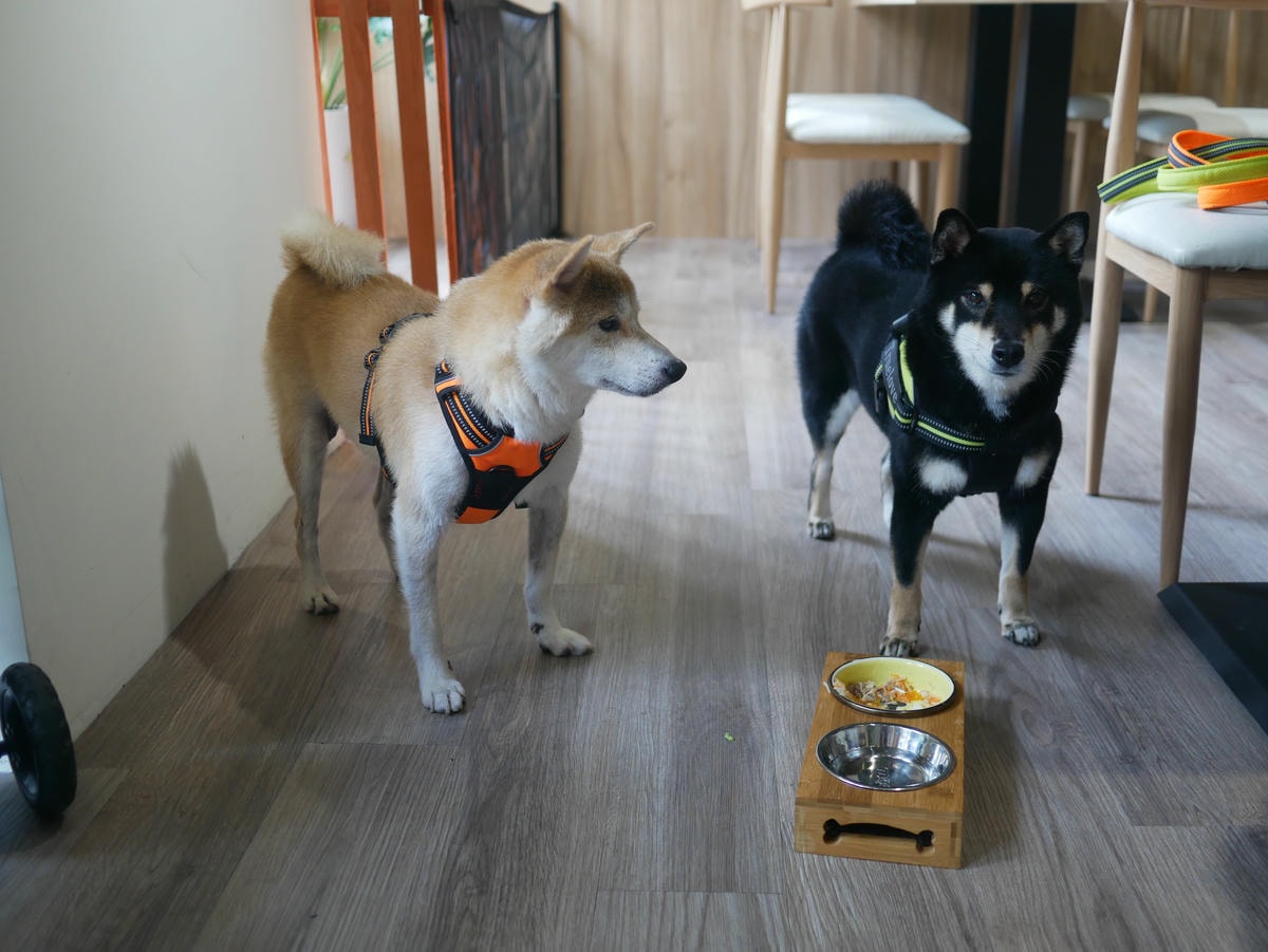 P1480753.JPG P1480753.JPG