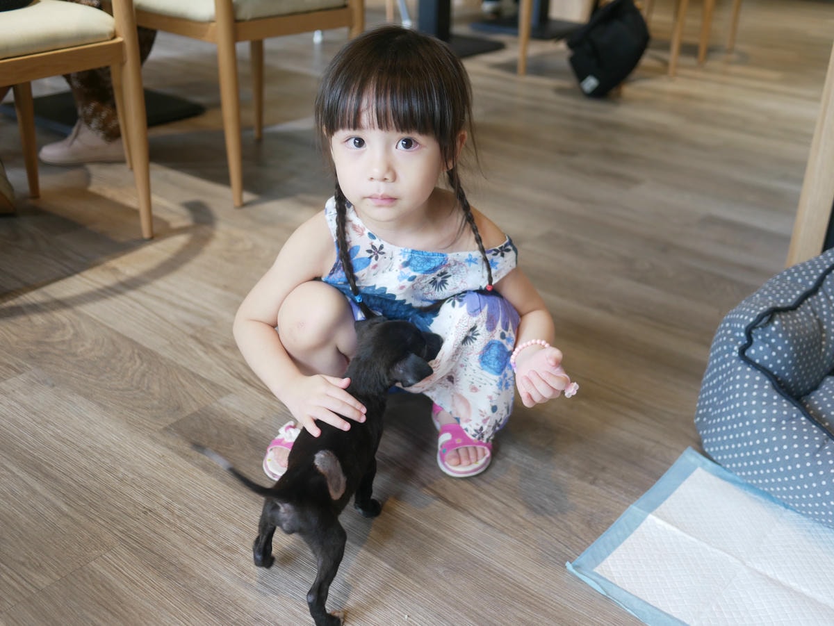 P1480737.JPG P1480737.JPG