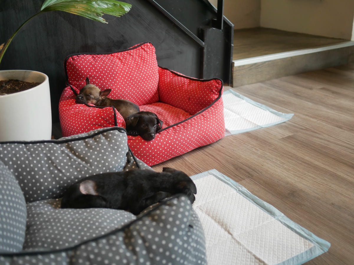 P1480724.JPG P1480724.JPG