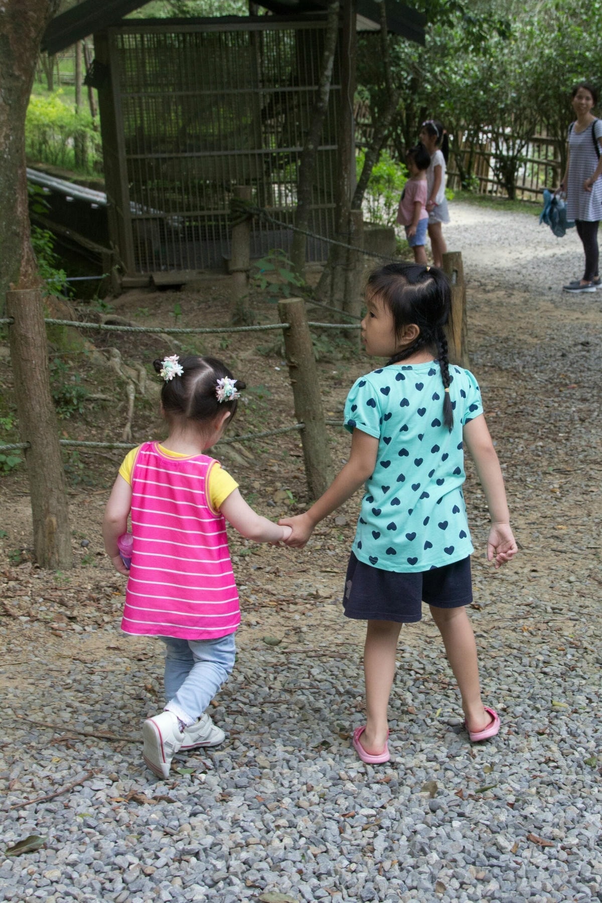 社遊照片_170627_0237