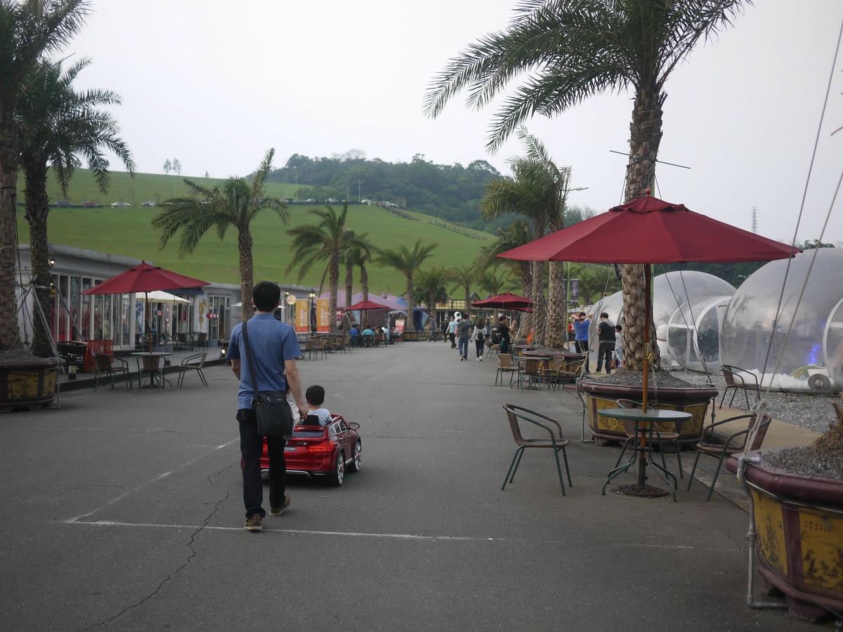 P1780950.JPG P1780950.JPG