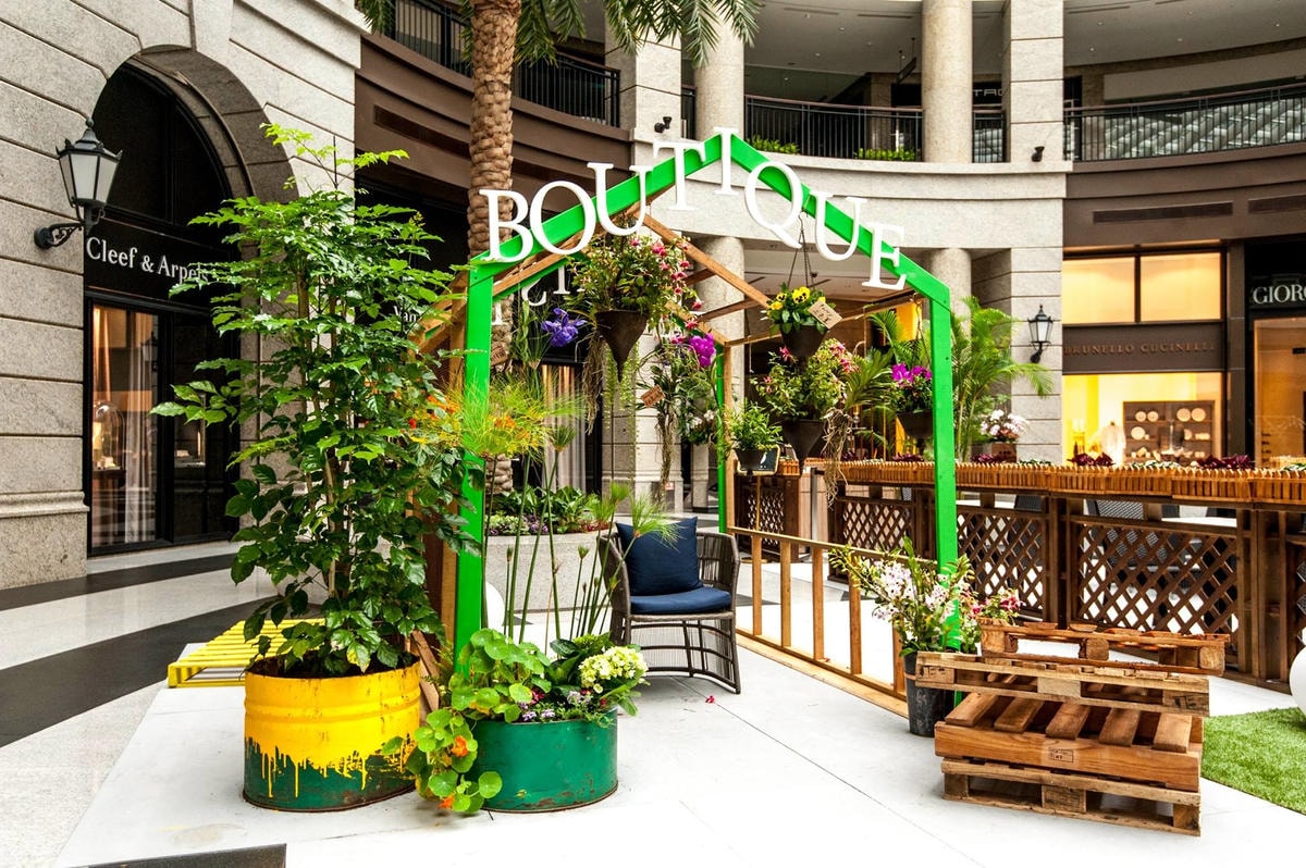 17434700_1574276172596227_6023002792845577553_o