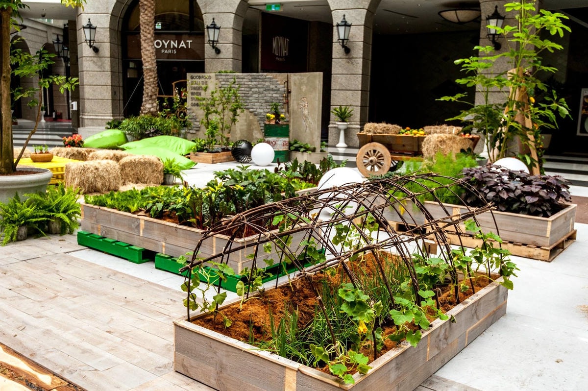 17390770_1574276299262881_3214951589725298605_o