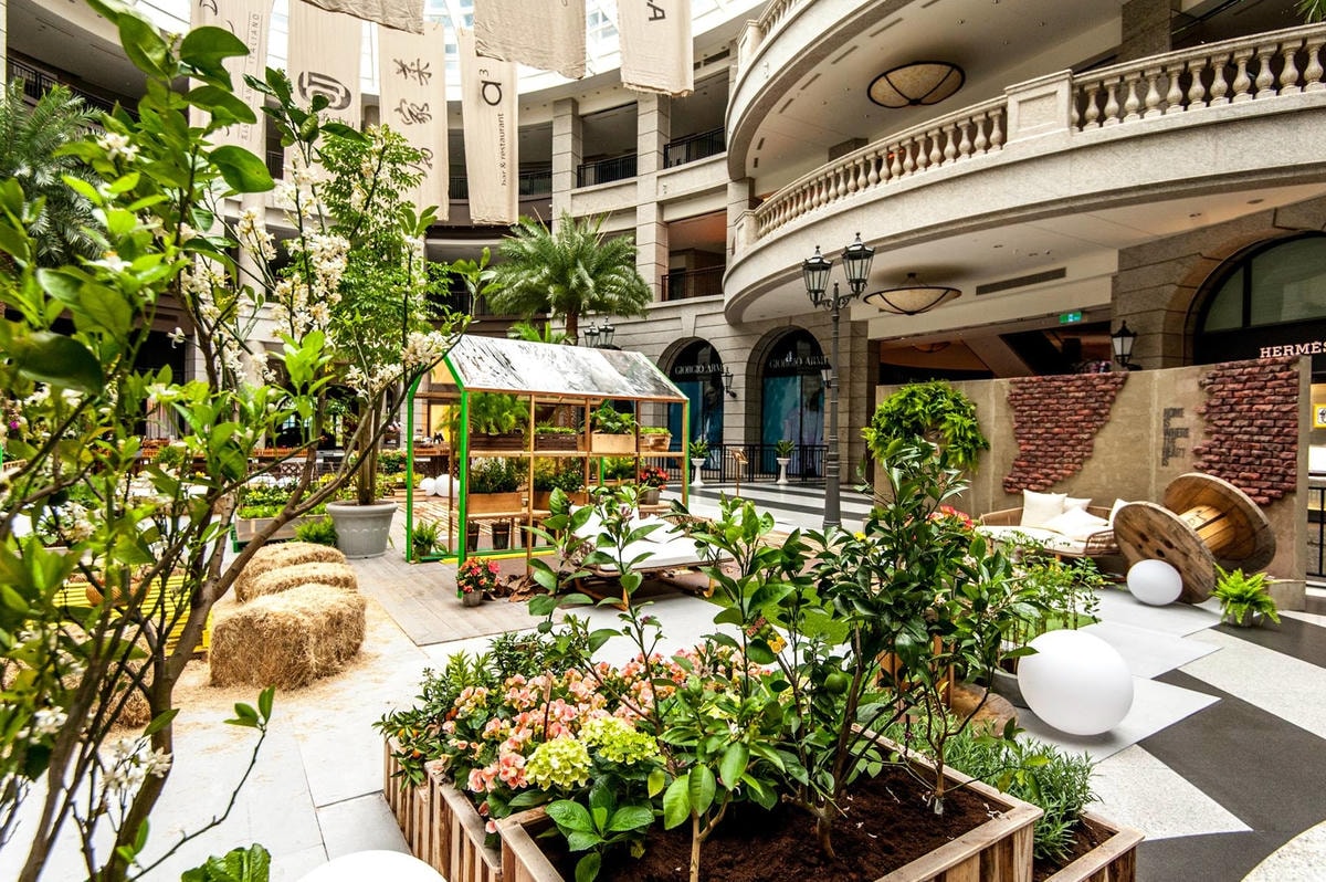 17240016_1574276222596222_3708814224315589439_o