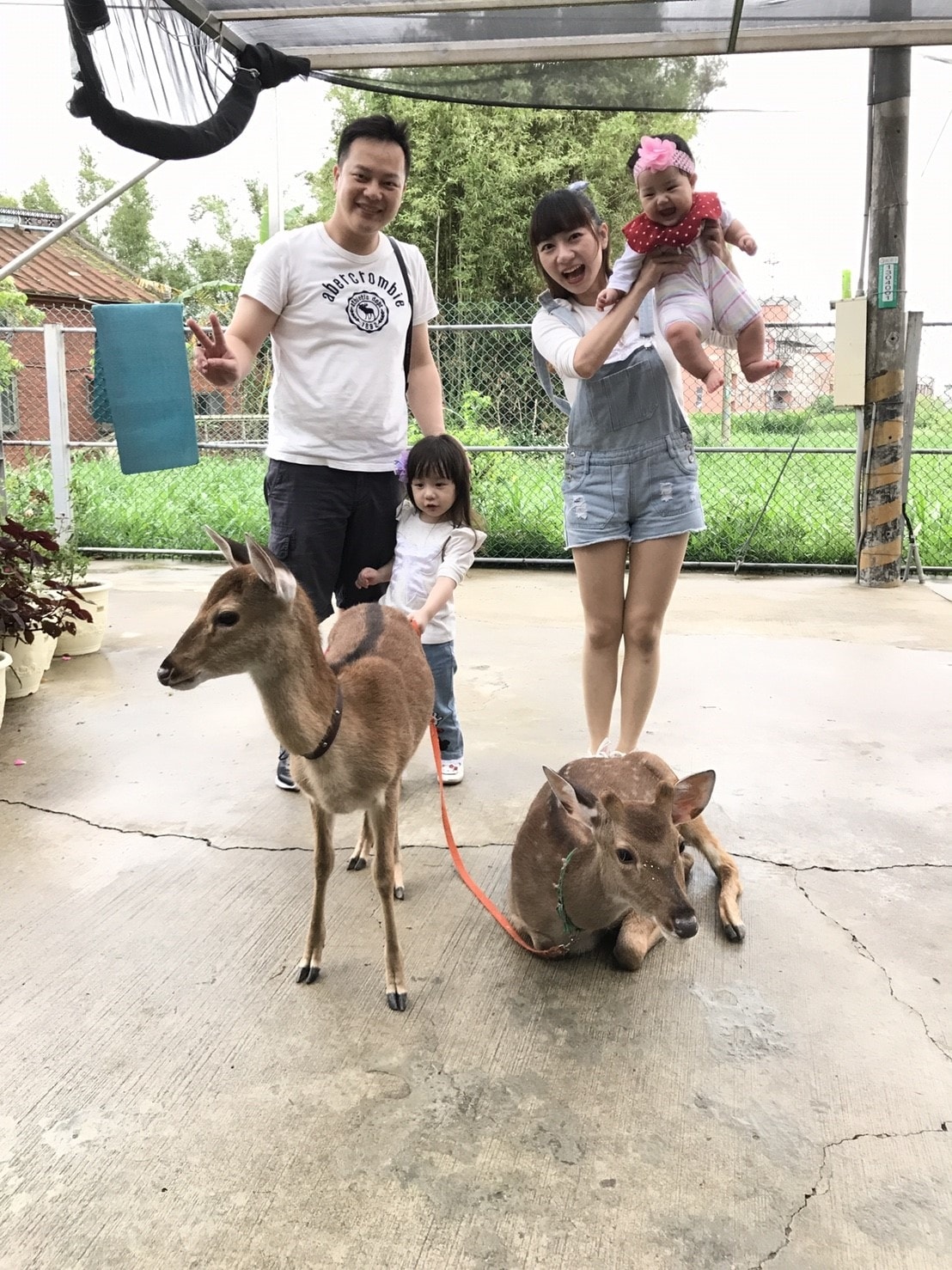 20180414 山腳鹿場&#127868;&#129420;&#127793;_180416_0027.jpg