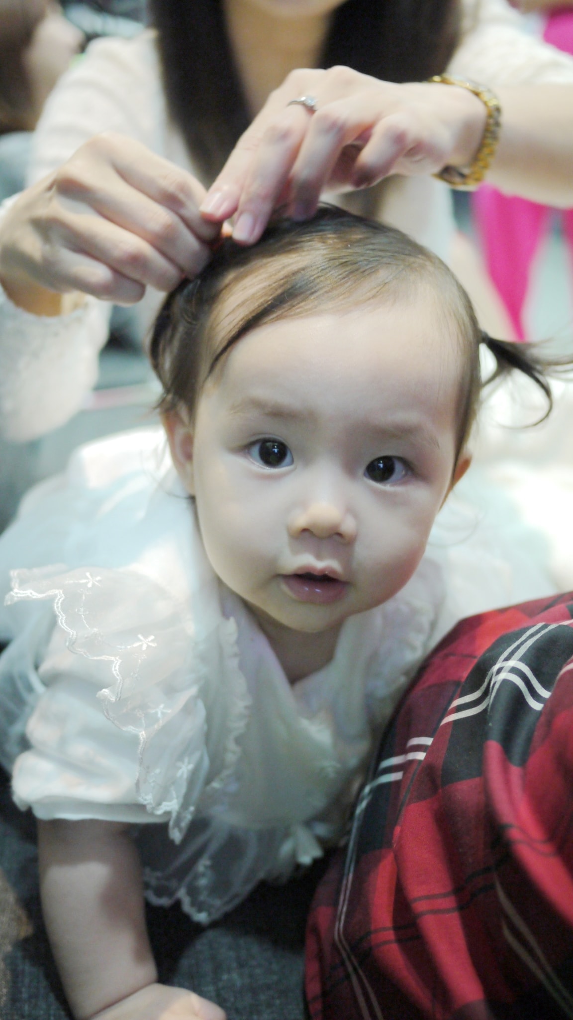 20151129 小貢丸滿月pa_4569.jpg