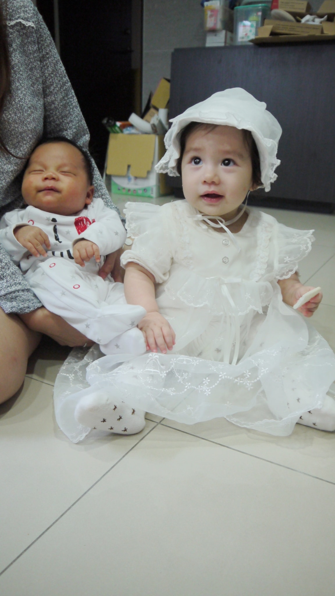 20151129 小貢丸滿月pa_3876.jpg